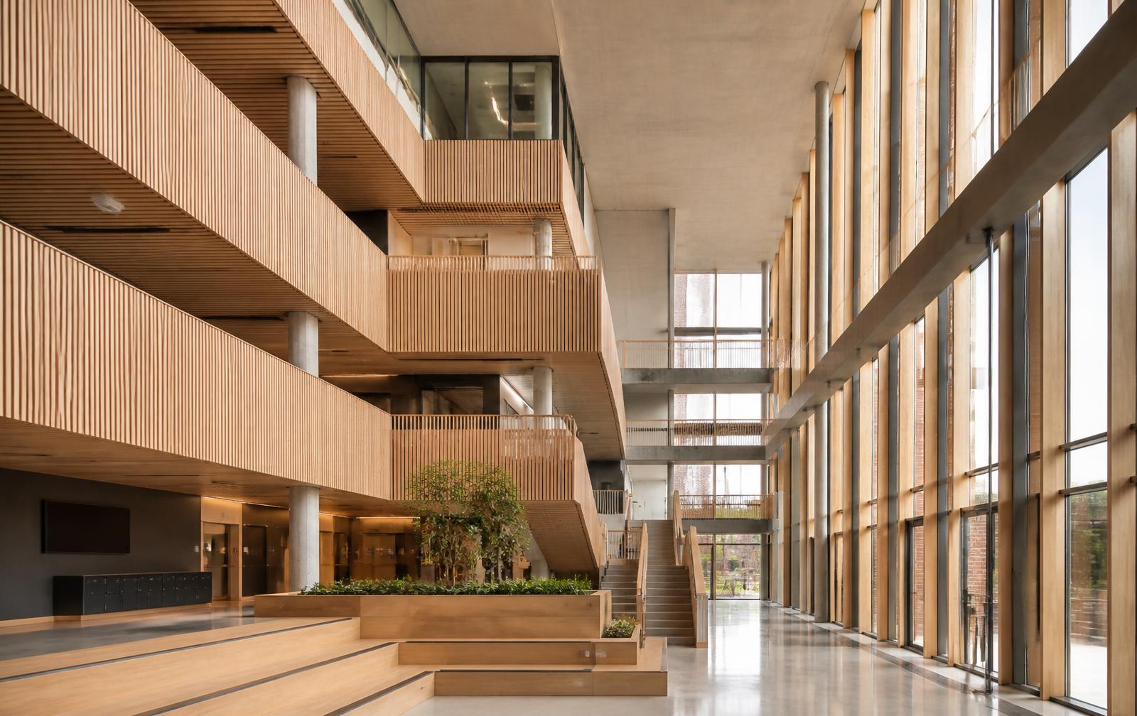 Contemporary education atrium in timber and concrete with tall glazing